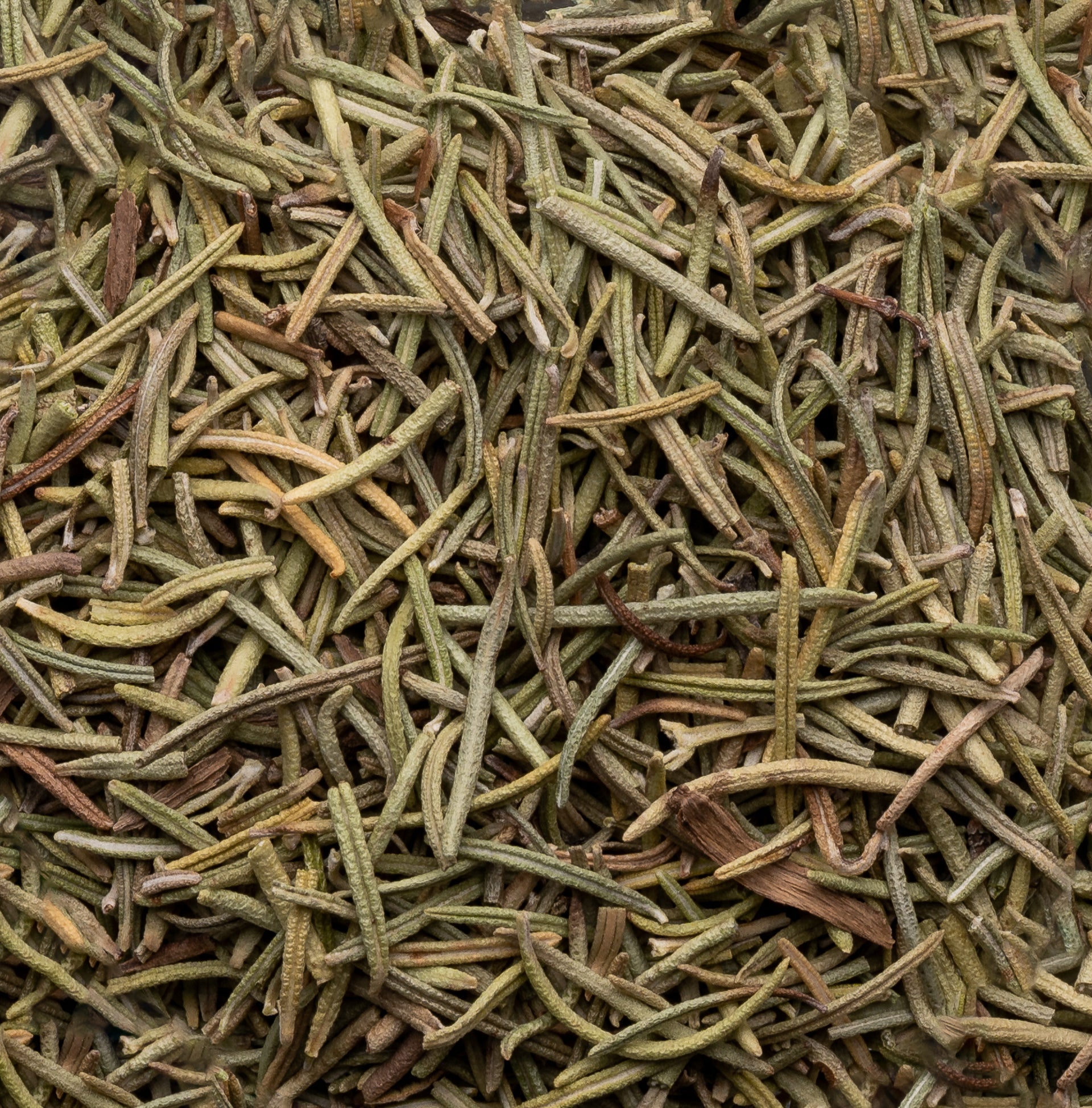 Seeds