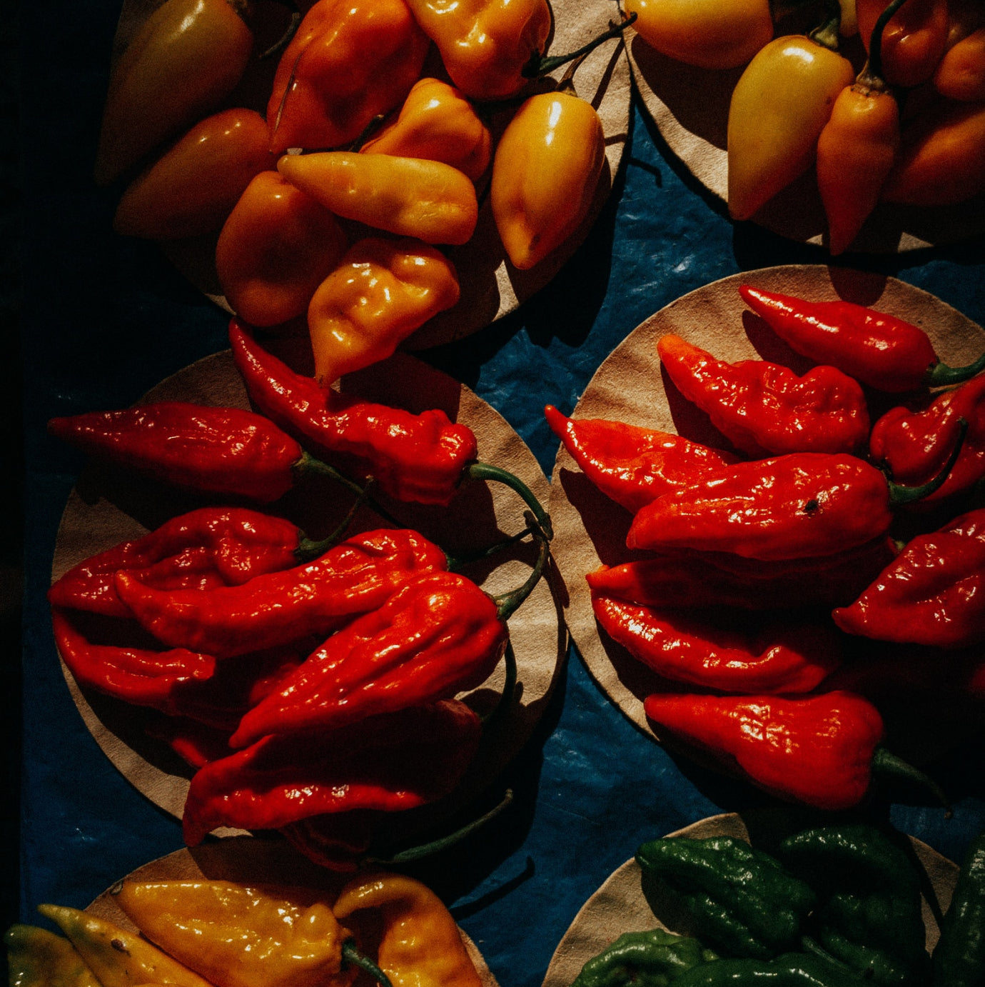 Organic Dried Chiles