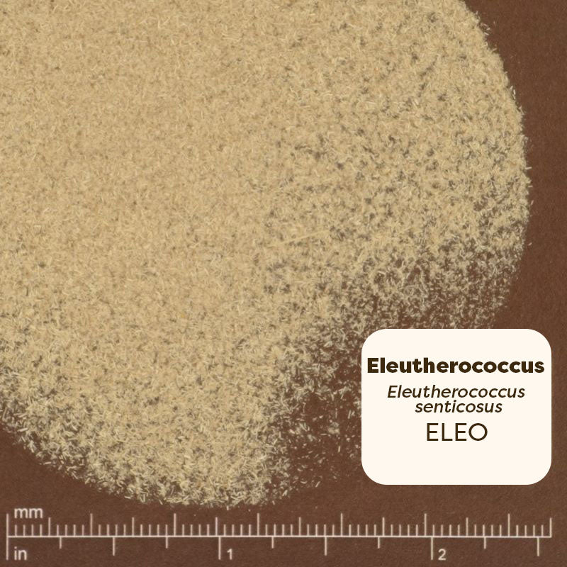 Pure Ground Ingredients