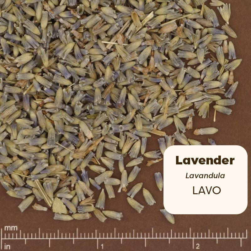 Pure Ground Ingredients