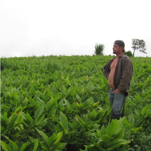 Working in agriculture