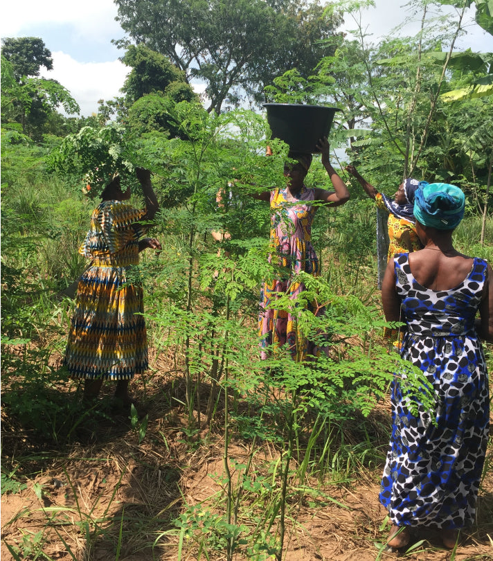 Pure Ground Ingredients