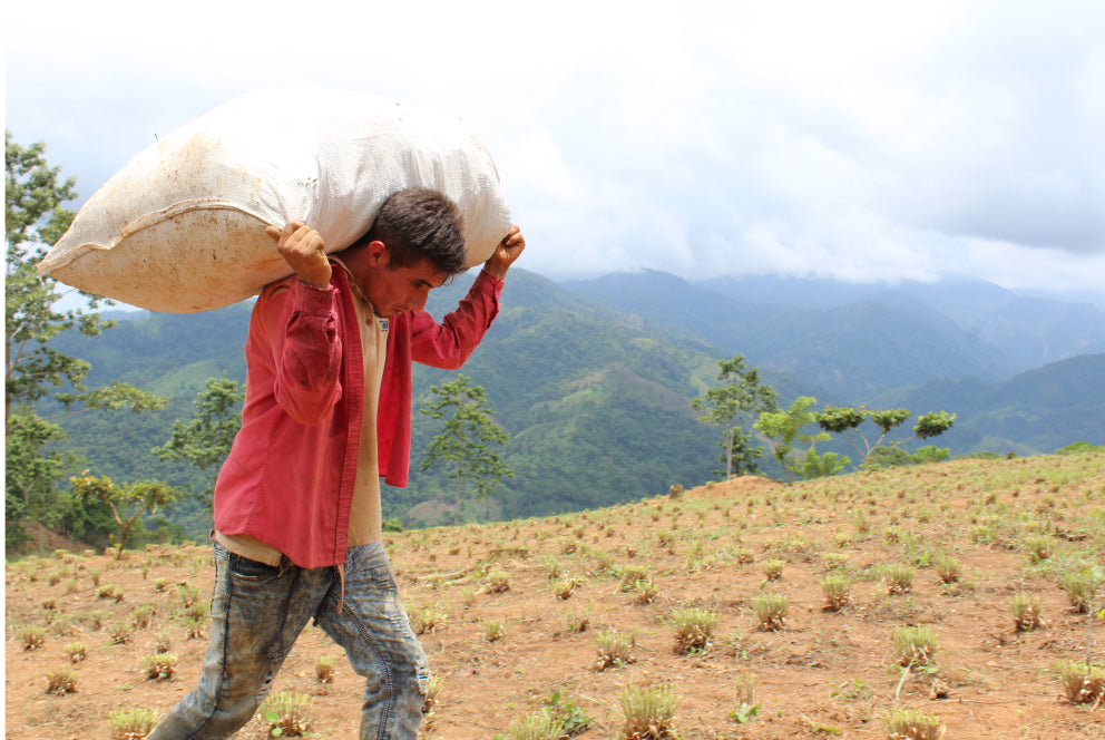 Pure Ground Ingredients