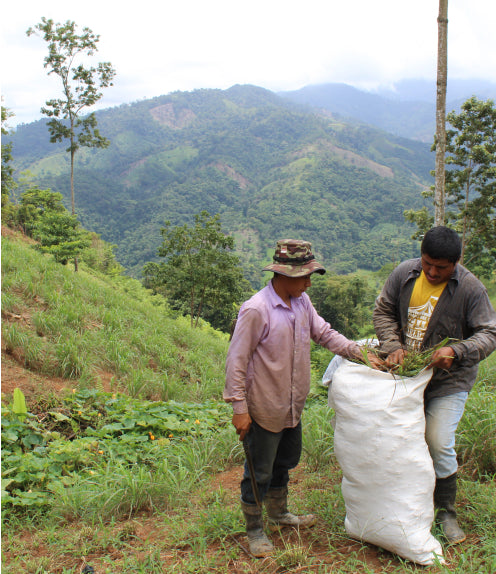 Working in agriculture