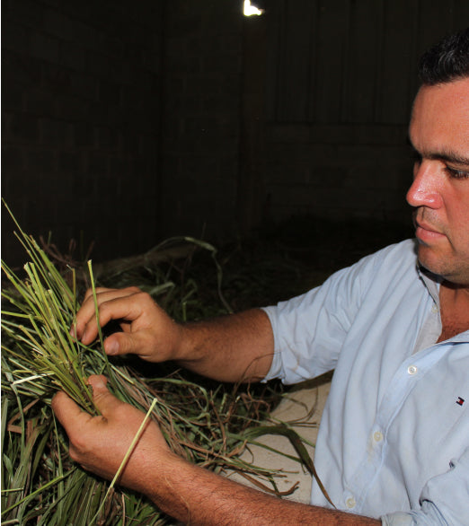 Pure Ground Ingredients