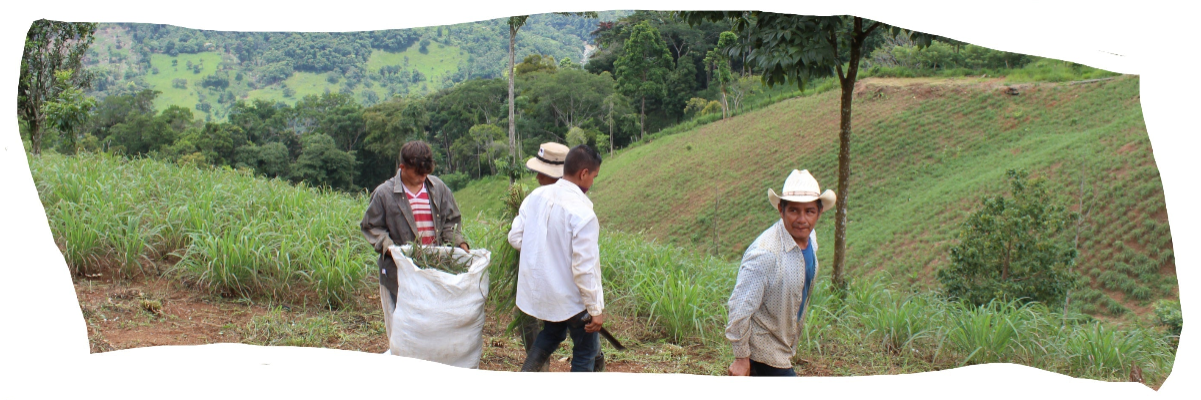 Pure Ground Ingredients