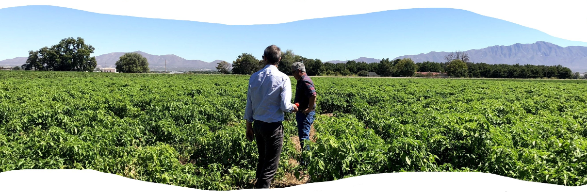 Pure Ground Ingredients