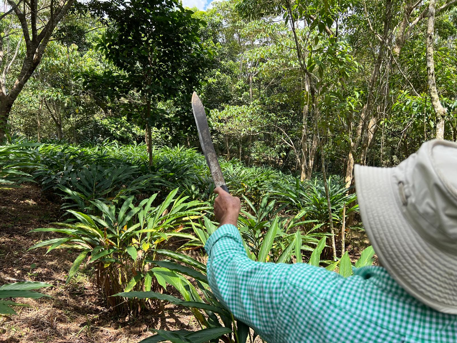 Pure Ground Ingredients