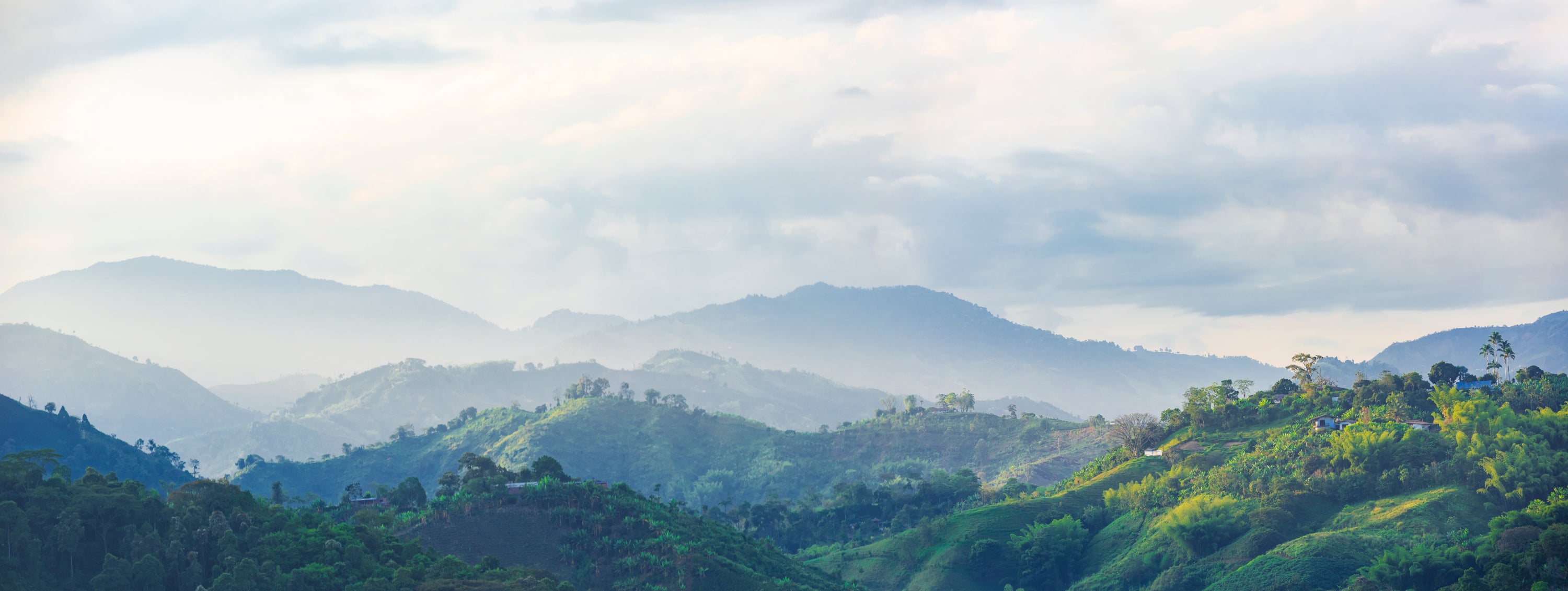 Landscape image with field