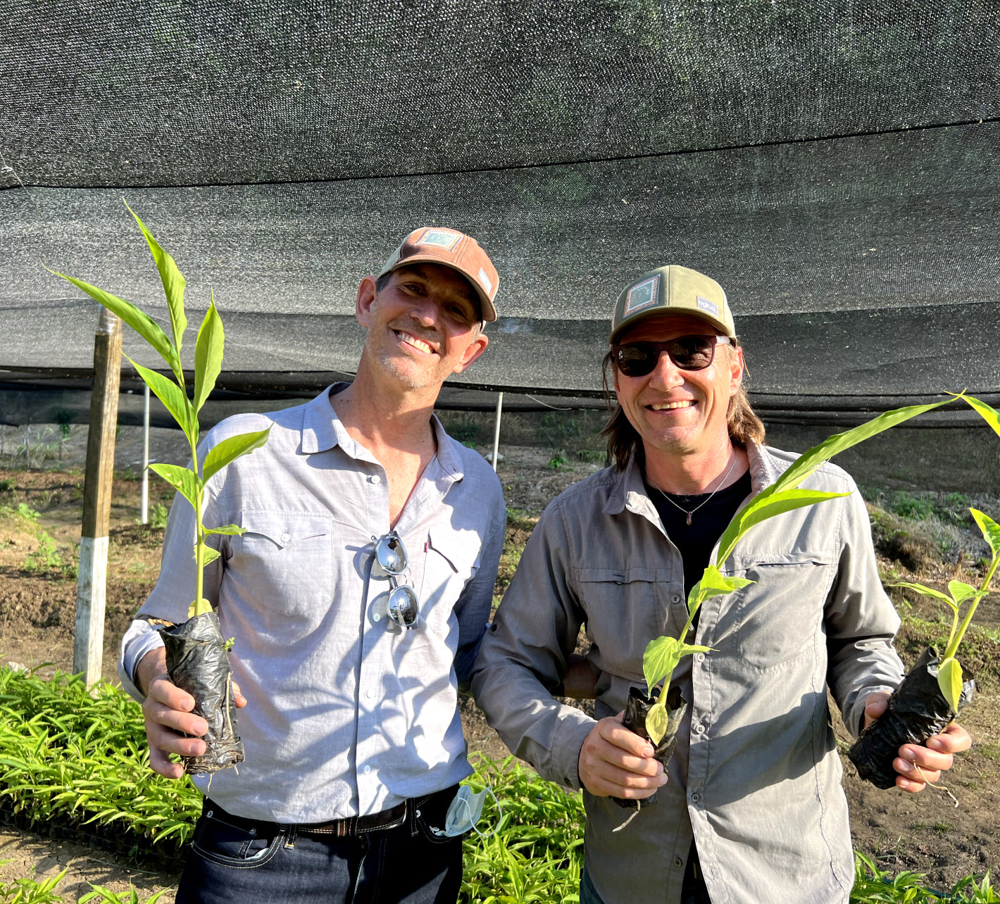 Pure Ground Ingredients