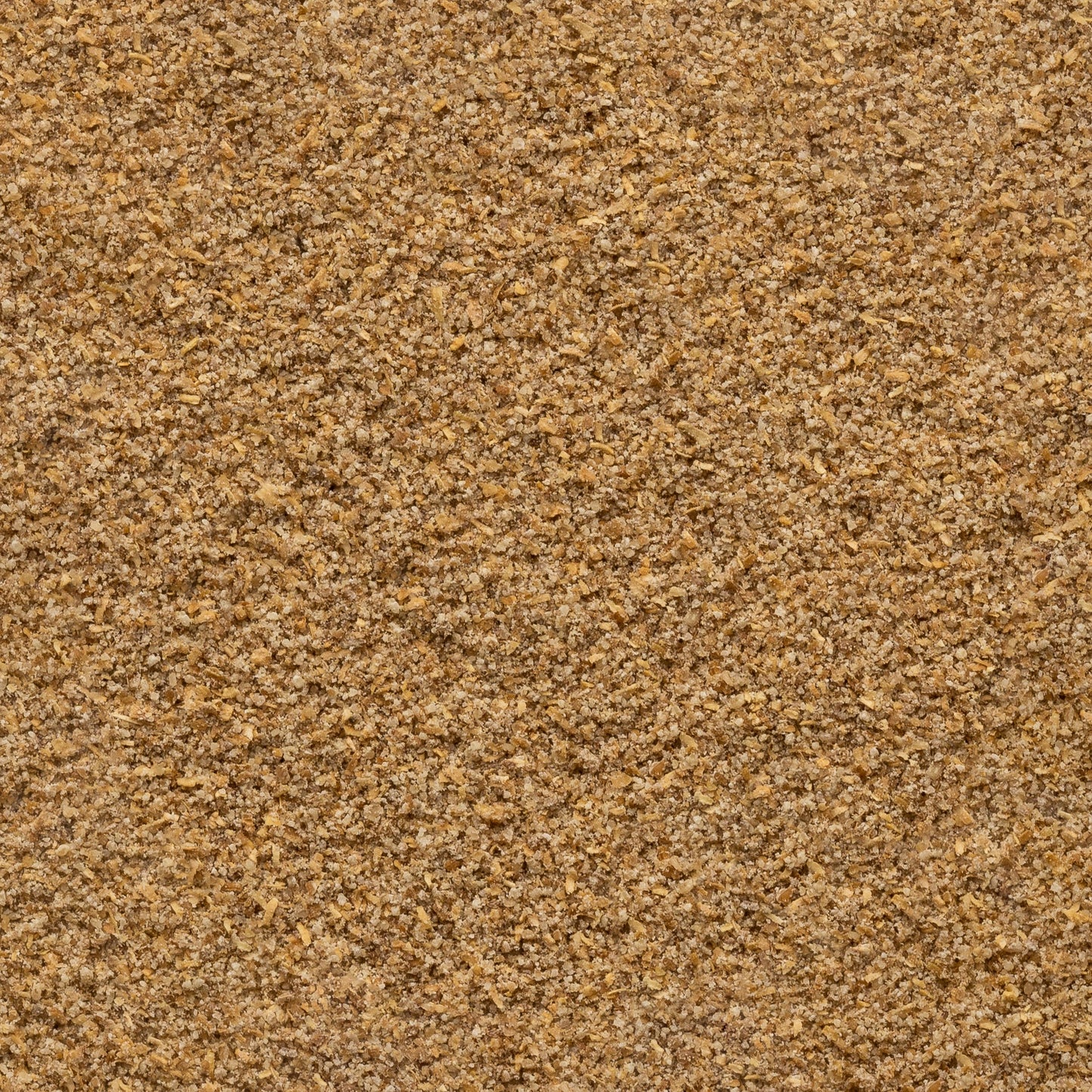 Organic Coriander Seed