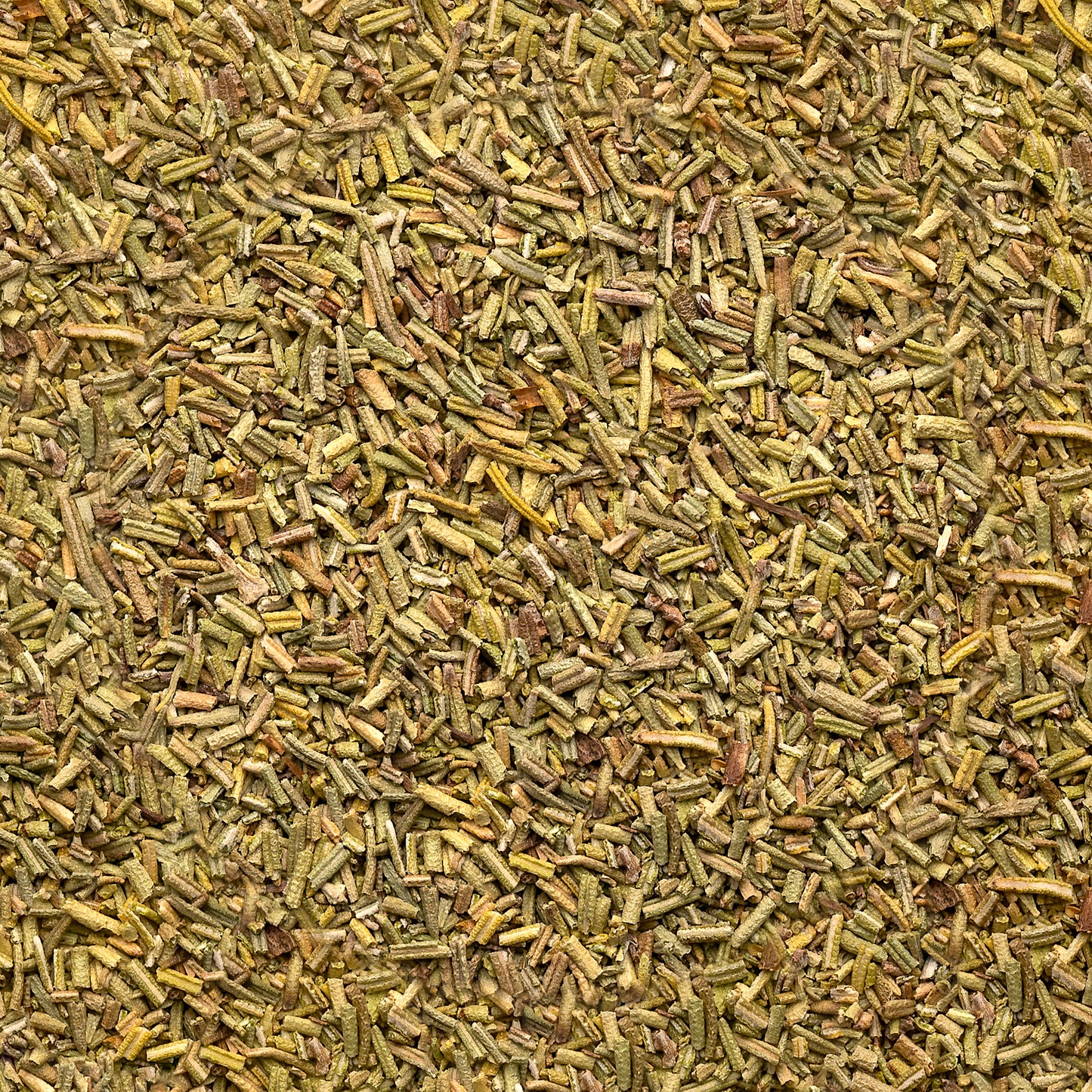Organic Rosemary