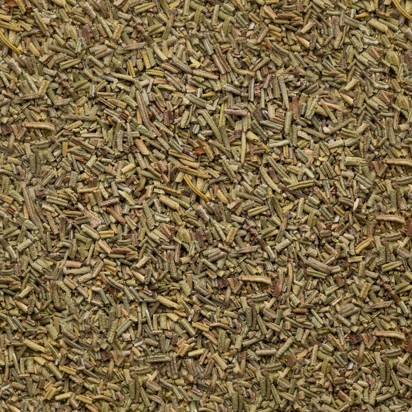 Organic Rosemary