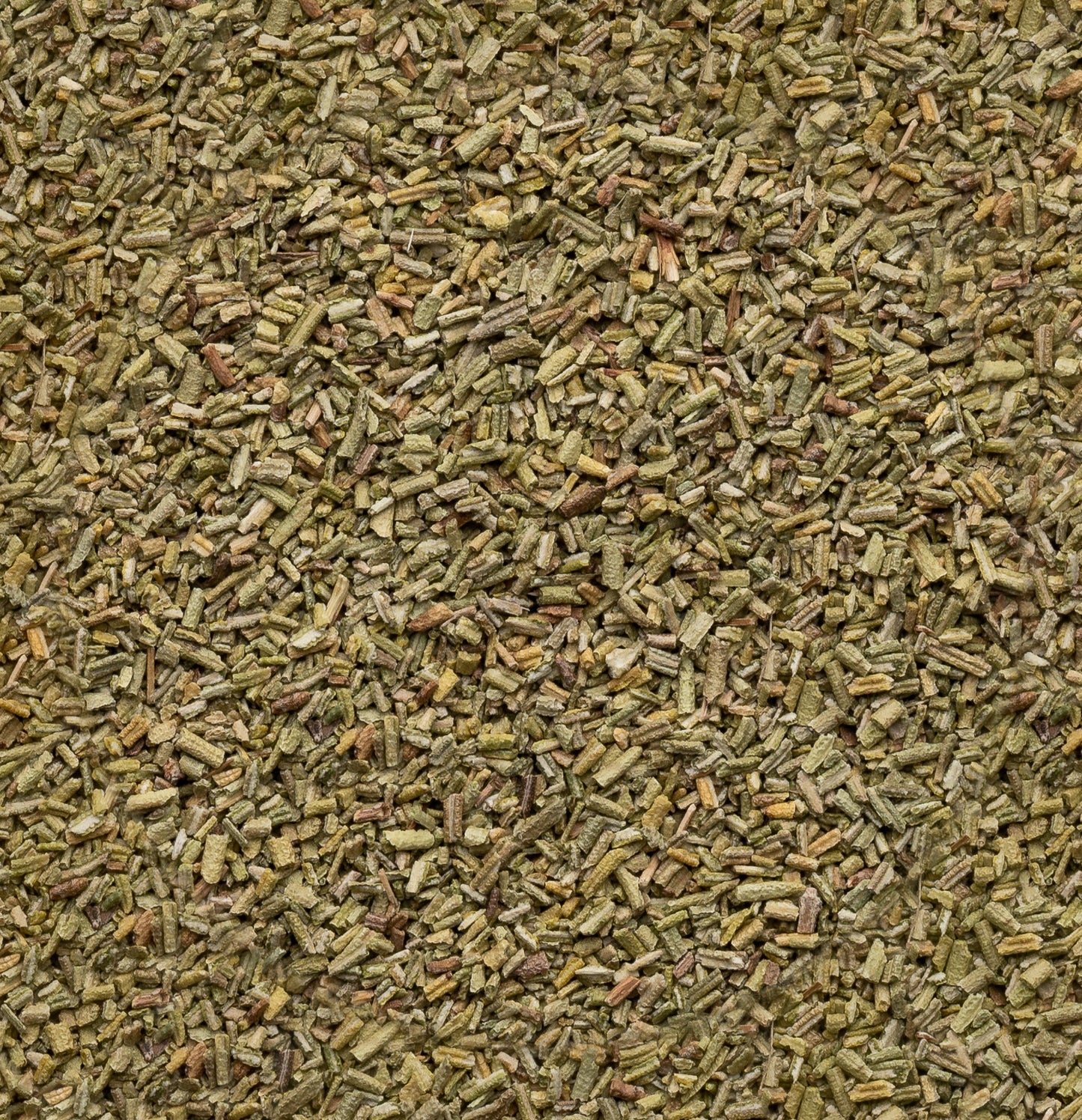 Organic Rosemary