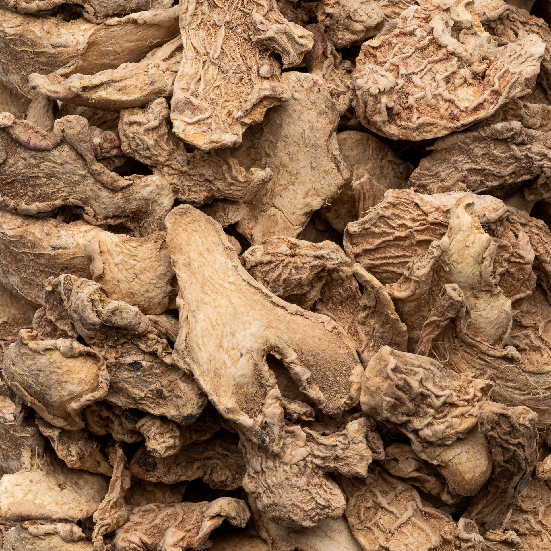 Ginger