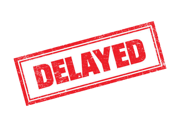 Ever wonder why there are occasional delays in your order?