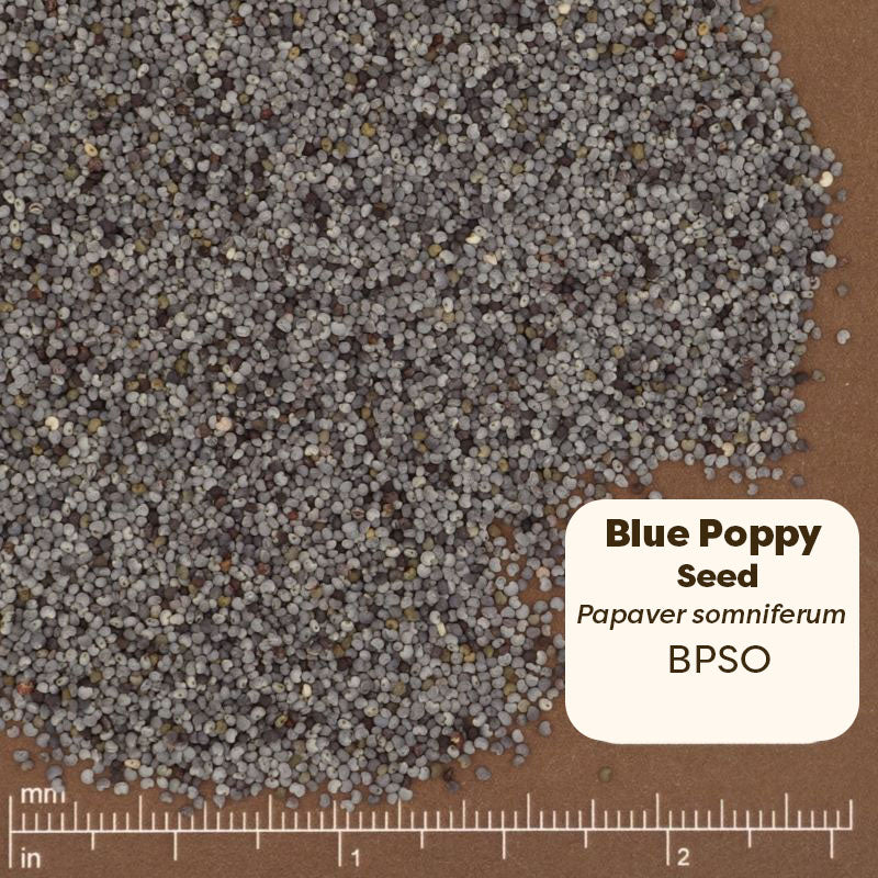 Pure Ground