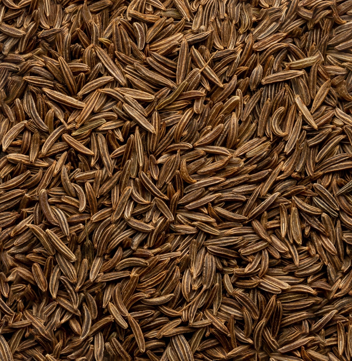Organic Caraway Seed
