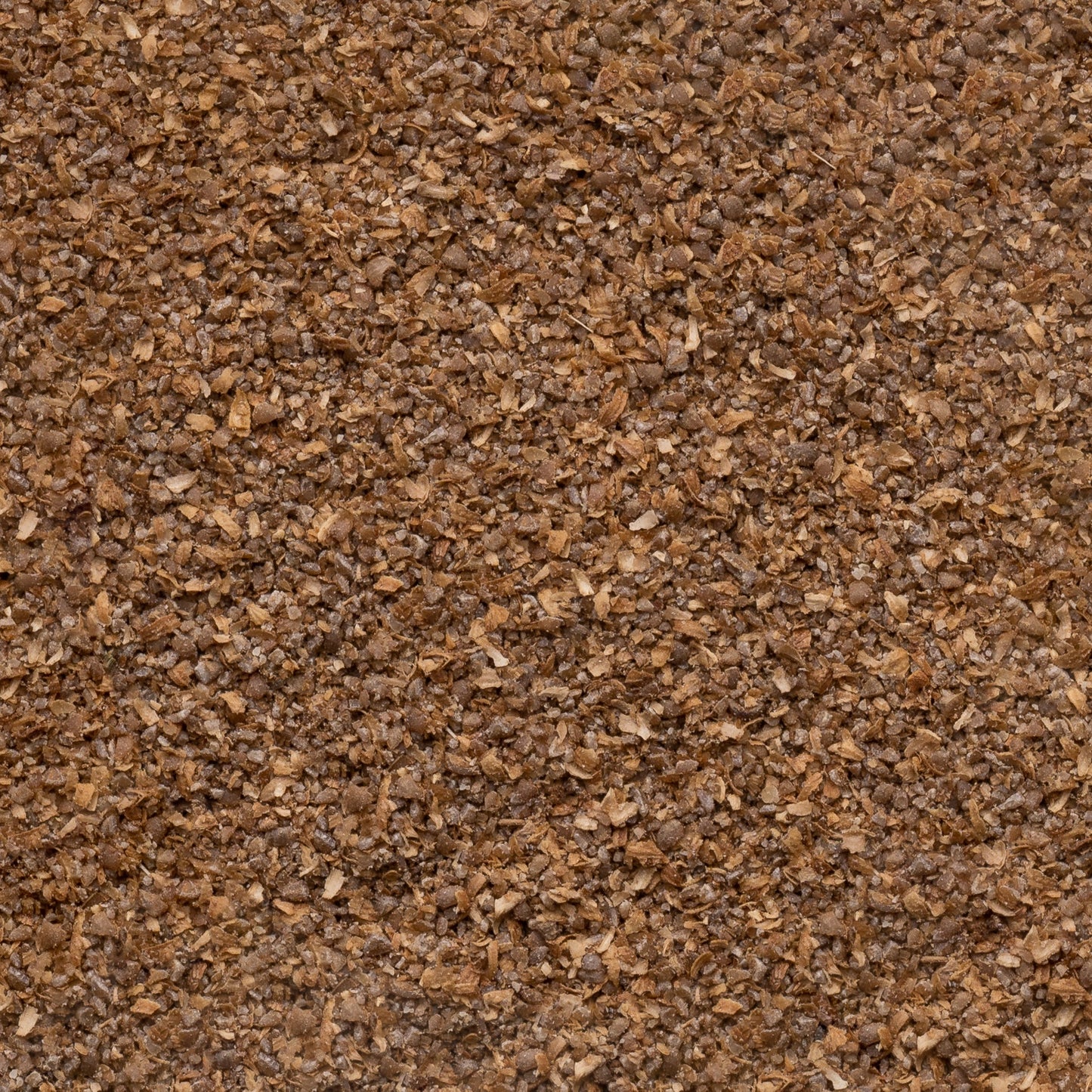 Organic Coriander Seed