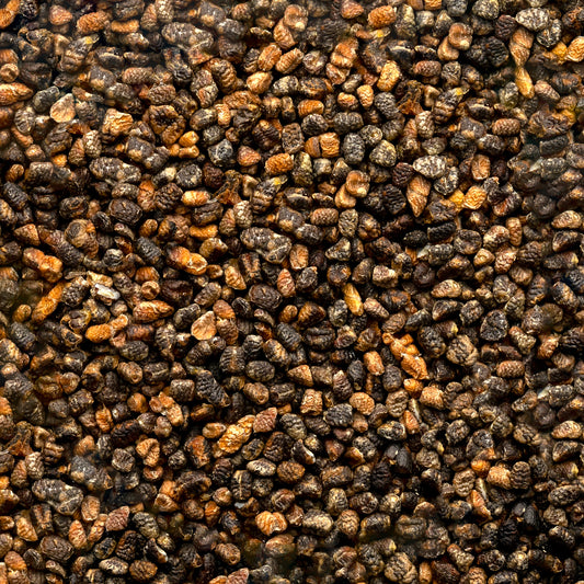 Organic Cardamom Seed