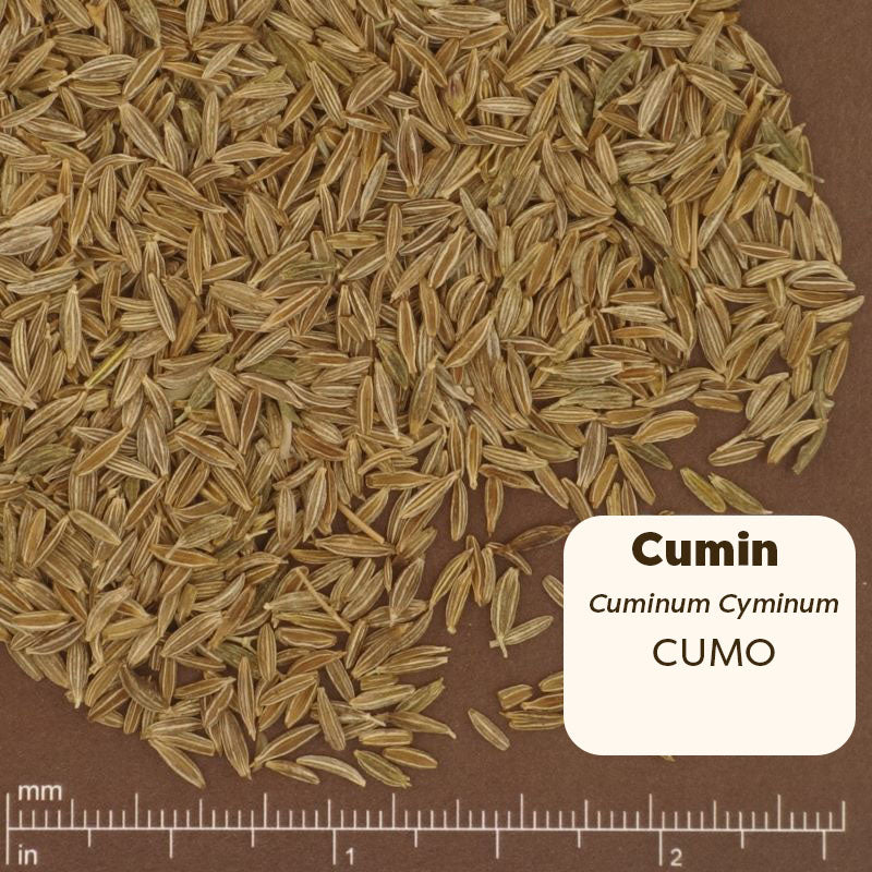 Pure Ground Ingredients