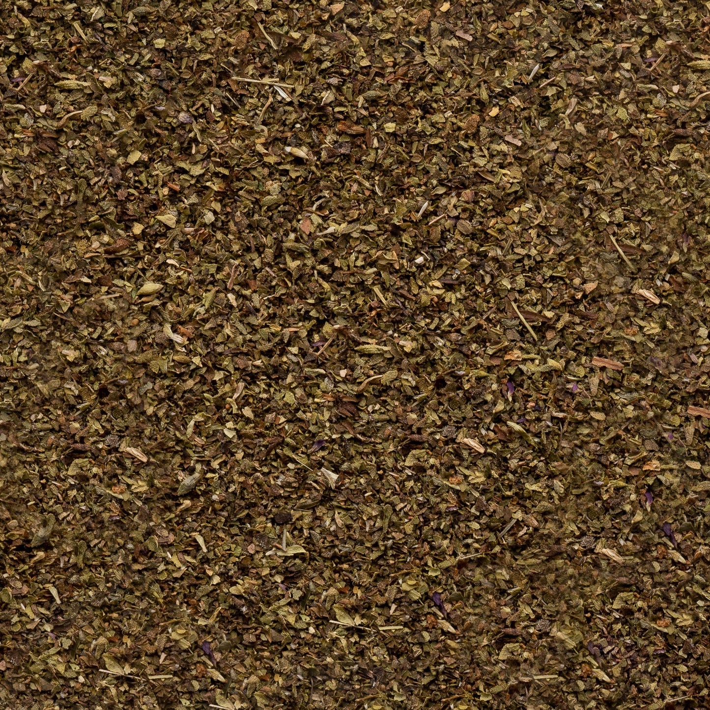 Organic Oregano