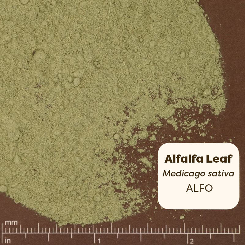Green powder labeled 'Alfalfa Leaf' with a ruler at the bottom