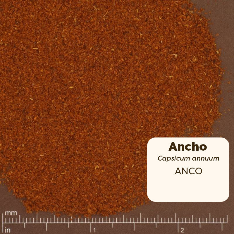 Close-up of ancho chili powder with a label and measurement scale. Scientific Name: Capsicum annuum