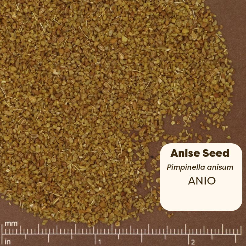 Anise seed on a brown background with a ruler for scale. Scientific Name Pimpinella anisum