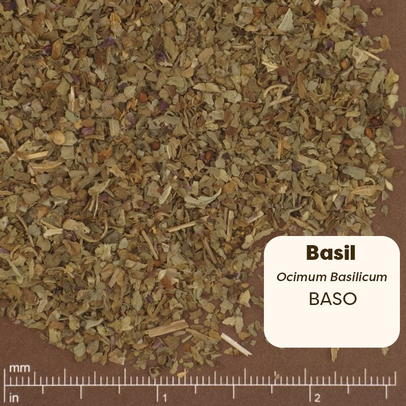 Dried basil leaves with a label and measurement scale on a brown background. Scientific Name: Ocimum Basilicum 
