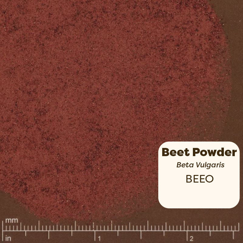Beet powder sample with a ruler for scale on a brown background. Scientific Name Beta Vulgaris 
