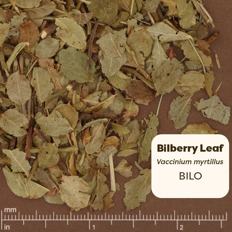 Dried bilberry leaves with a label indicating the name and scientific classification on a brown background.
