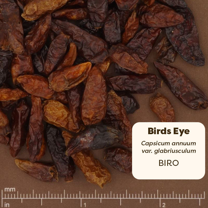 Dried bird's eye chilies on a brown background with a measurement scale at the bottom.
