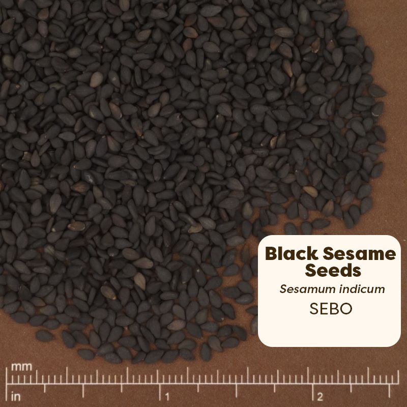 Pure Ground Ingredients