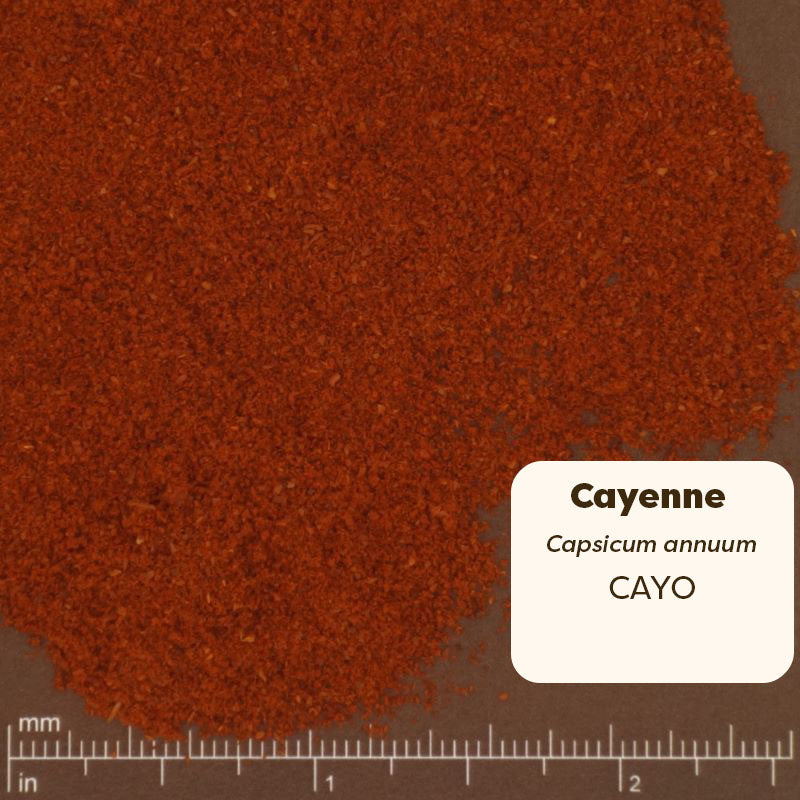 Close-up of cayenne pepper powder with a label and measurement scale.Scientific Name: Capsicum annuum