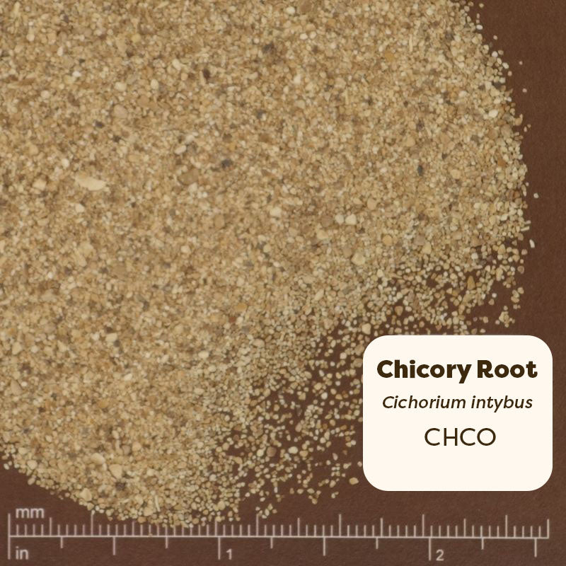 Close-up of chicory root powder with a label and measurement scale.