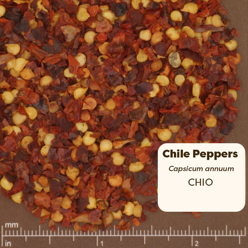 Chile peppers with a label indicating the type on a brown background Scientific Name: Capsicum annuum