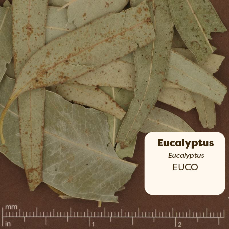 Pure Ground Ingredients