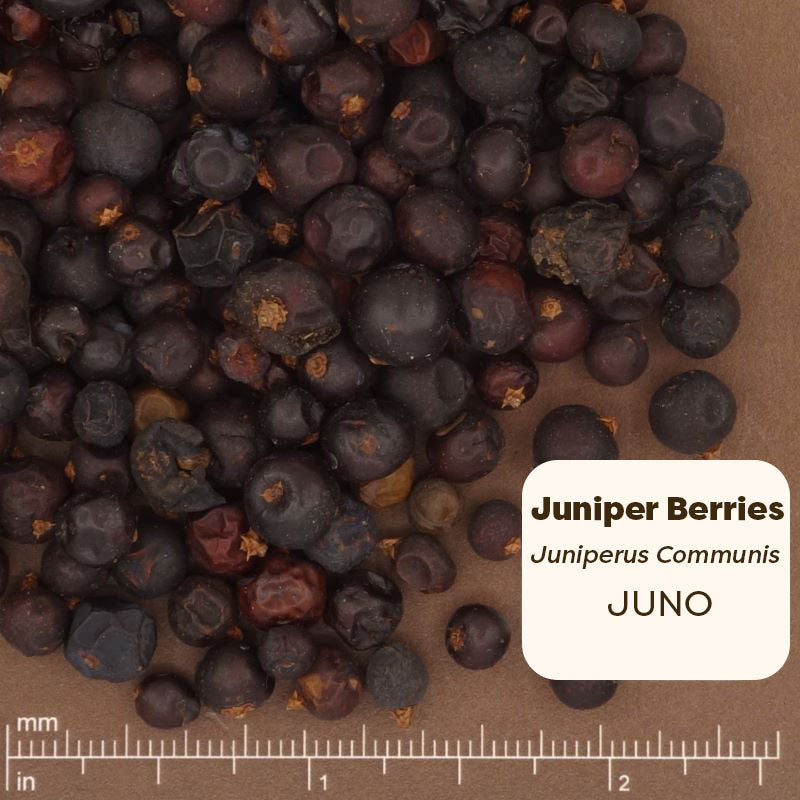 Juniper berries with a label indicating 'Juniper Berries Juniperus Communis JUNO' on a brown background.