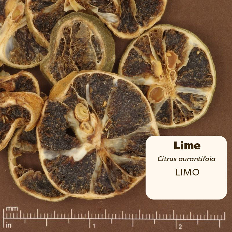 Sliced lime  on a brown background, labeled 'Lime Citrus aurantifolia LIMO'.