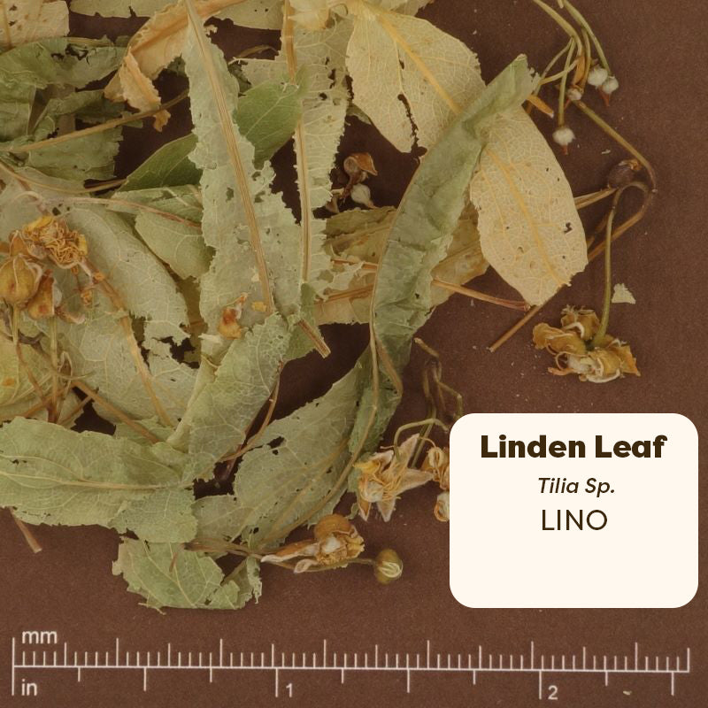 Pure Ground Ingredients