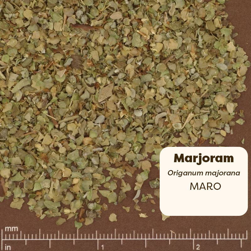 Dried marjoram leaves with a label and measurement scale on a brown background. Scientific Name: Origanum Majorana