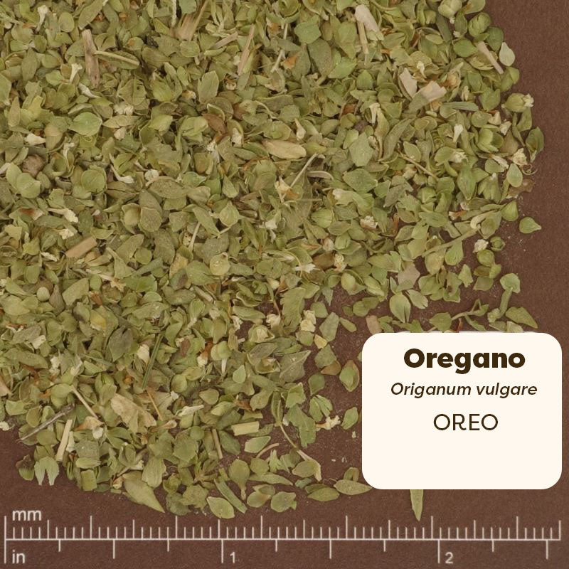 Dried oregano leaves on a brown background with a label indicating the name and scientific name Origanum vulgare