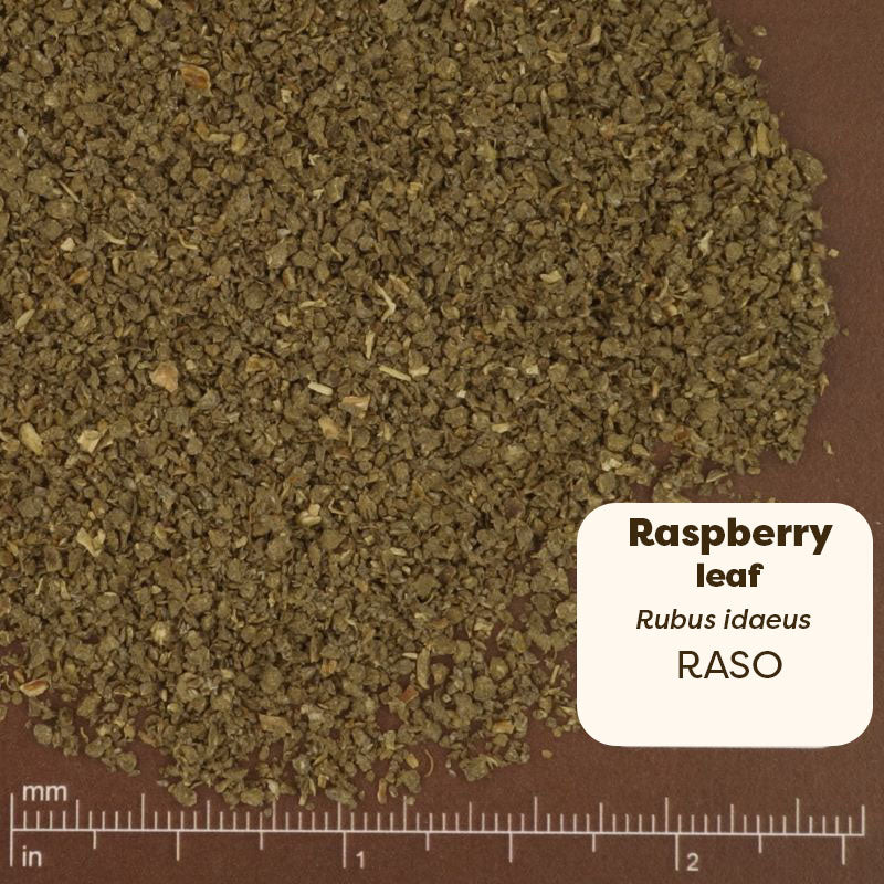Dried raspberry leaf powder with a label and measurement scale on a brown background. Scientific Name: Rubus Idaeus 