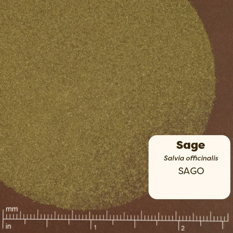 Close-up of a sage plant with a label indicating 'Sage Salvia officinalis SAGO' on a brown background.