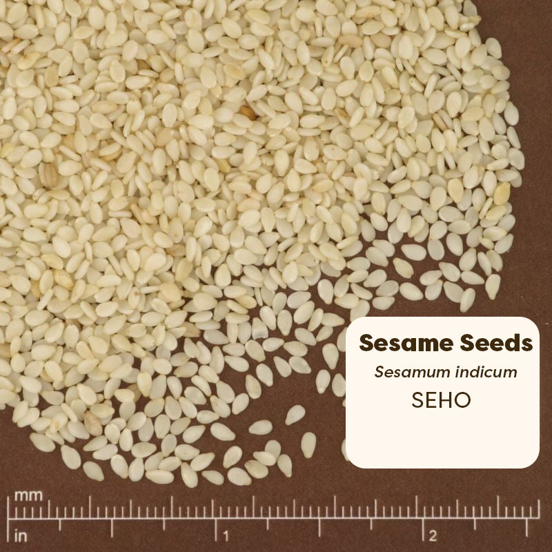 Pure Ground Ingredients