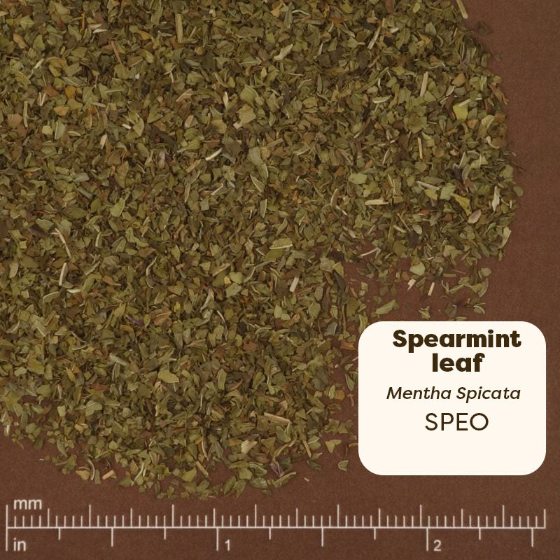 Spearmint leaf sample with a label and measurement scale on a brown background