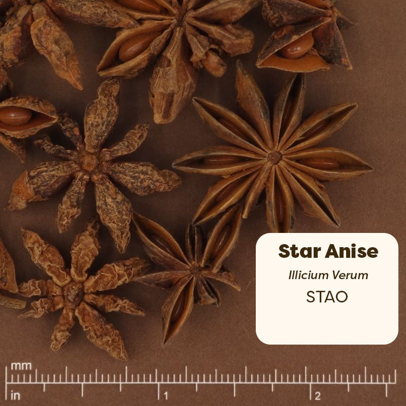 Star anise seeds on a brown background with a label indicating the name and scientific term.
