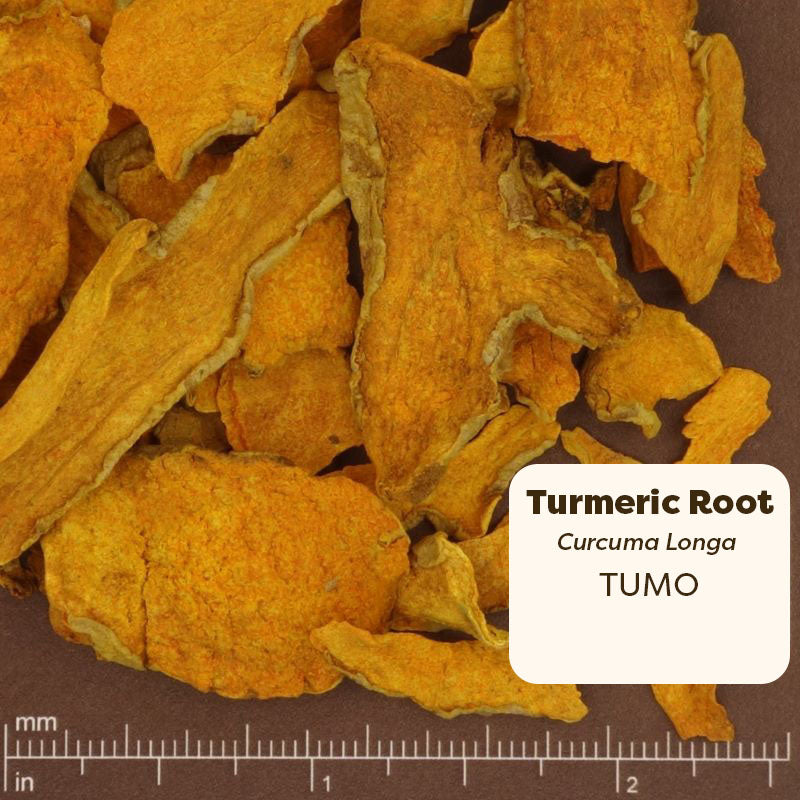 Turmeric root pieces with a label and measurement scale on a brown background. Scientific Name: Curcuma Longa 