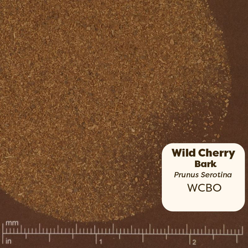 Close-up of Wild Cherry Bark with a label and measurement scale. Scientific Name Prunus Serotina 